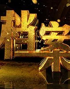 BTV纪实《档案》封面