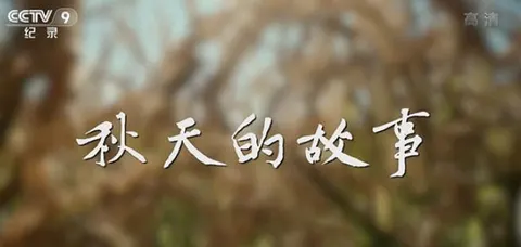 秋天的故事 2022封面