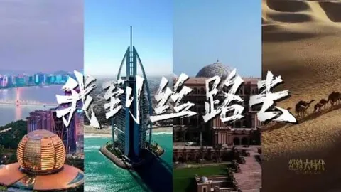 我到丝路去 2025封面